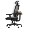 Chaise Ergonomique