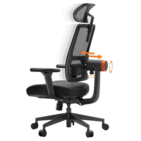 Chaise Ergonomique